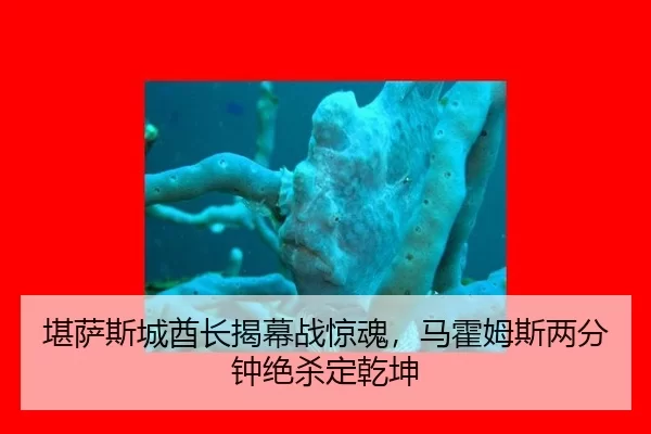 堪萨斯城酋长揭幕战惊魂，马霍姆斯两分钟绝杀定乾坤