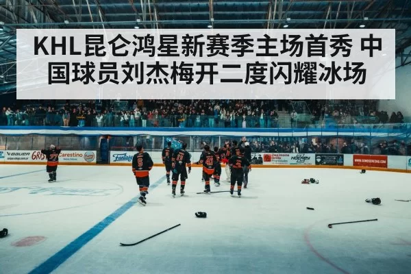 ice hockey arena crowd